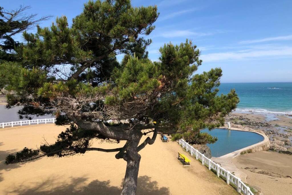 Belle Maison Neo-Bretonne A 5 Minutes De La Mer Tréveneuc Zewnętrze zdjęcie